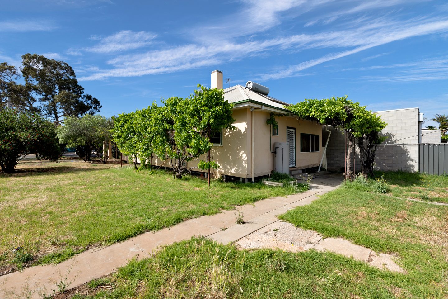 Side of the house and garden