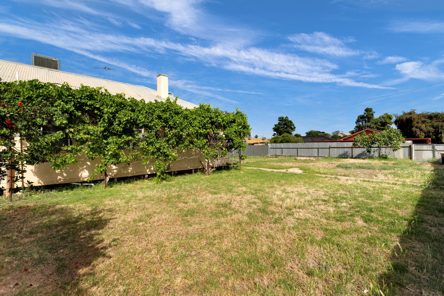 Garden alongside the house